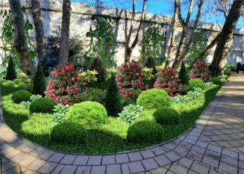 Прогноз погоды на пятницу 14 марта по Кубани: ситуация по районам