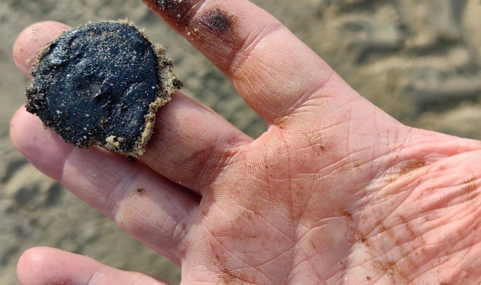 Анапа назвала сумму, в которую оценила ущерб от разлива мазута