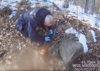 В Сочинском нацпарке задержали браконьера