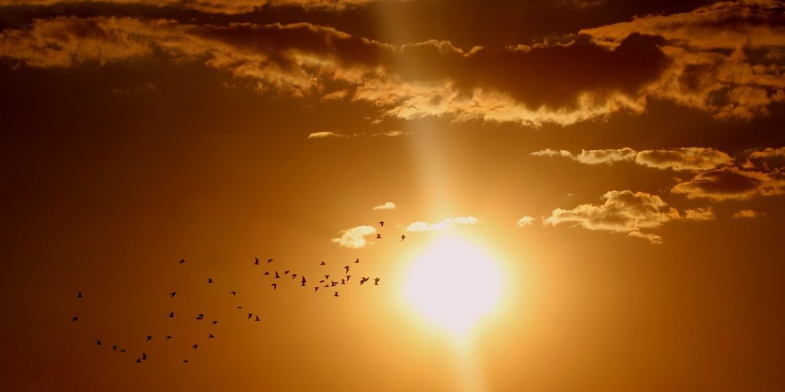 Сочинцев ждет аномальное тепло: температура поднимется выше 20 градусов