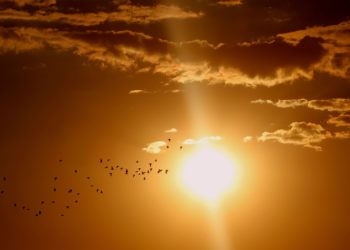 Сочинцев ждет аномальное тепло: температура поднимется выше 20 градусов