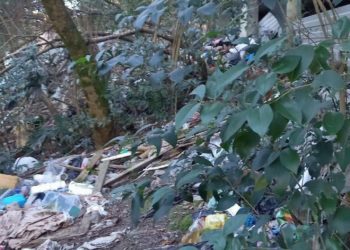 Филиал Индии обнаружили в центре Сочи