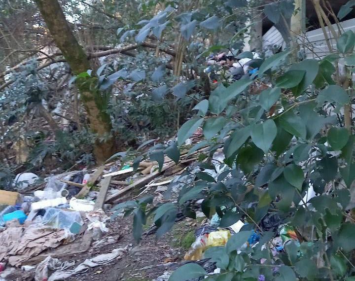 Филиал Индии обнаружили в центре Сочи