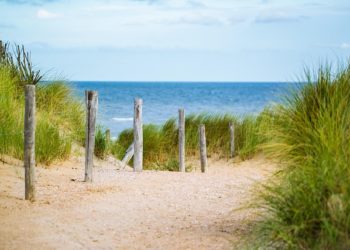 В Сочи зазывалы на набережной получили штрафы за навязывание услуг