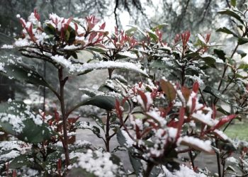 Погода слетит с катушек в воскресенье и понедельник 2 и 3 марта на Кубани