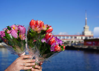 Прогноз погоды на 8 марта 2025 года в Краснодарском крае