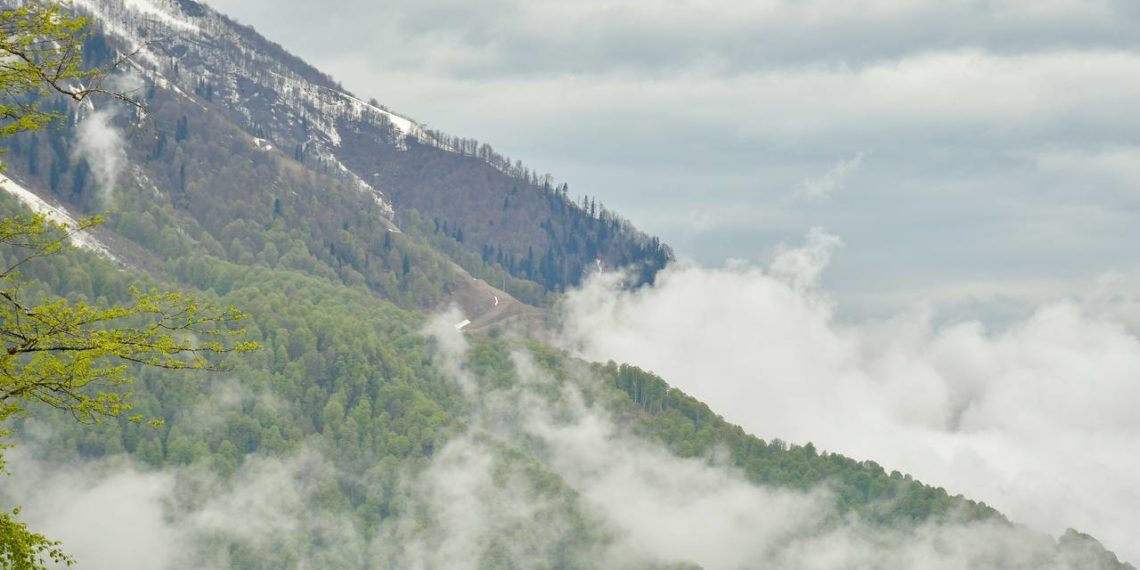 В Сочи и Сириусе ожидается туман 10 и 11 марта