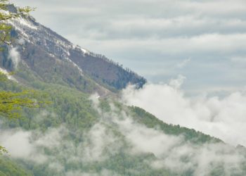 В Сочи и Сириусе ожидается туман 10 и 11 марта