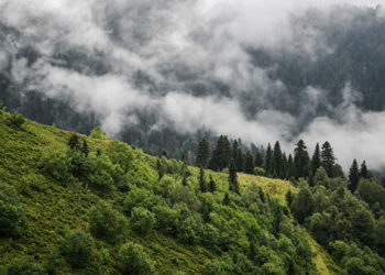 Прогноз погоды на понедельник и вторник 24 и 25 марта на Кубани