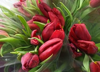 Погода в Краснодарском крае на 8 марта: туман, гололедица и порывистый ветер