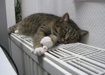 Жара в марте: когда в городах Кубани могут отключить отопление