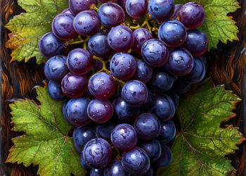 На Кубани в 2024 году жители потребили больше вина, чем водки