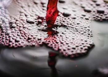 Кубанские вина блеснули на международной арене и получили награды