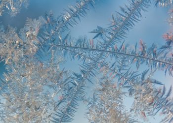 Аномальное похолодание до -16°C накроет Краснодарский край