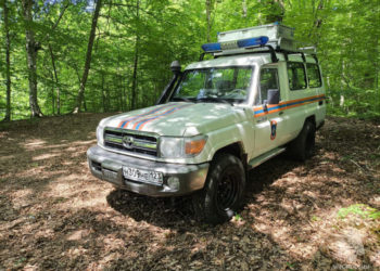 Парень застрял в колючих зарослях, пытаясь собрать цветы для девушки