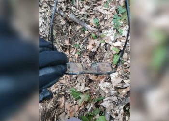 Очки пропавшего пенсионера нашли в Сочи через 5 дней поисков