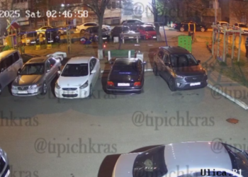 Биба и Боба в деле: тайна ночных похитителей лавочек в Краснодаре раскрыта?