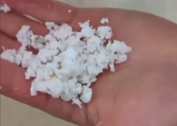 Просроченное пальмовое масло на пляжах Анапы угрожает экосистеме