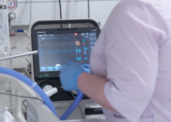 Валентин Королев из Сочи назвал сумму компенсации за покусанного хаски сына