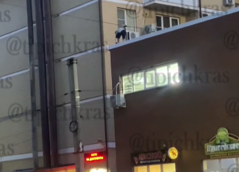 В Краснодаре человек-обезьяна с крыши здания перелез на столб и сорвался вниз
