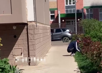 Жительницы Краснодара взяли под контроль палисадники с кладоискателями