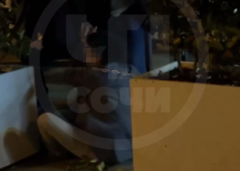 В Сочи оглушенный ударом бутылки мужчина нокаутировал женщину на улице