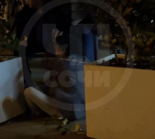 В Сочи оглушенный ударом бутылки мужчина нокаутировал женщину на улице