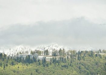 В Сочи ожидается туман и гроза 26 и 27 апреля