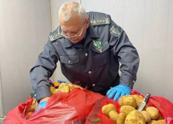 В портах Краснодарского края запретили картофель с молью