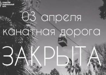 Канатная дорога парка «Дендрарий» в Сочи закрылась на профилактику