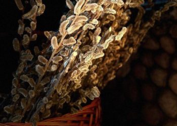 Губернатор Кубани Кондратьев поздравил жителей края с Вербным воскресеньем