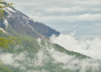 Погода в Краснодарском крае в воскресенье 13 апреля: осадки, туманы и заморозки