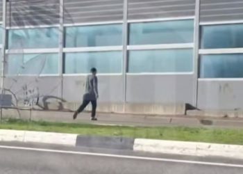 На дороге в Сочи мужчина размахивал гениталиями