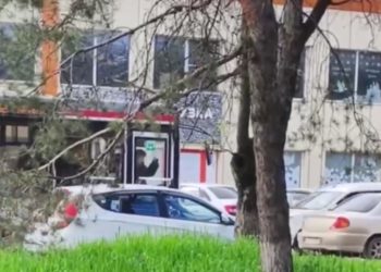 В Краснодаре водитель автобуса подрался с пассажиркой