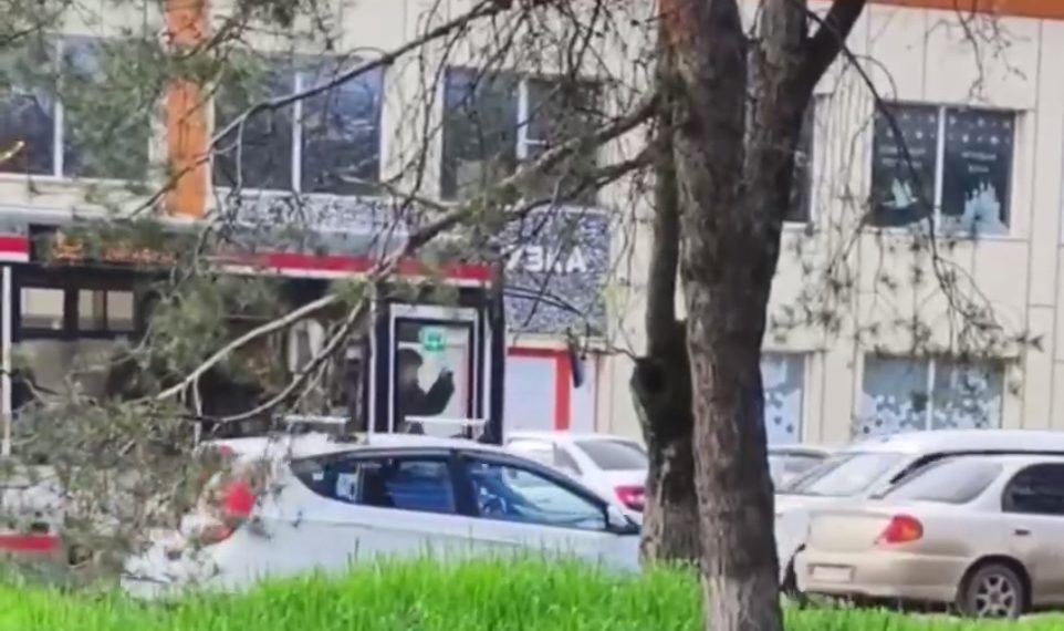 В Краснодаре водитель автобуса подрался с пассажиркой