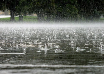 Ливни, грозы, град: на Кубани погода основательно сбрендит с 23 по 26 апреля