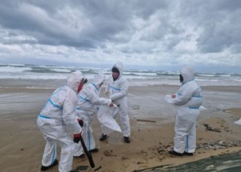 В Анапе зафиксировали новые выбросы мазута 11 апреля