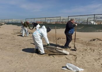 На Кубани собрали почти 155 тысяч тонн загрязненного песка, грунта и гальки