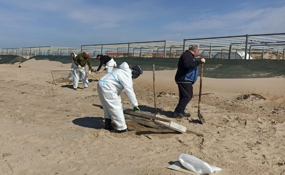 На Кубани собрали почти 155 тысяч тонн загрязненного песка, грунта и гальки