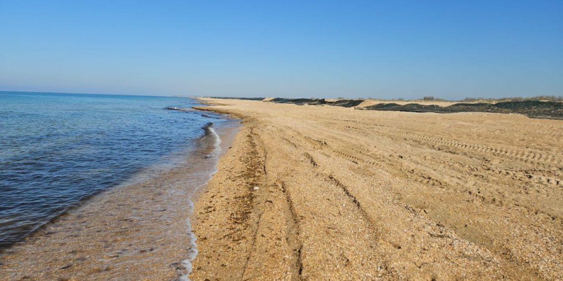 В Анапе обнаружили новые выбросы мазута 18 апреля