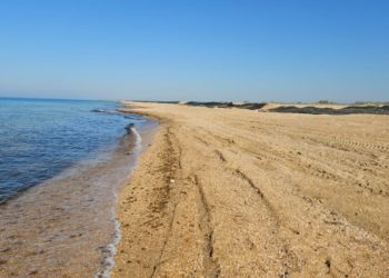 В Анапе обнаружили новые выбросы мазута 18 апреля