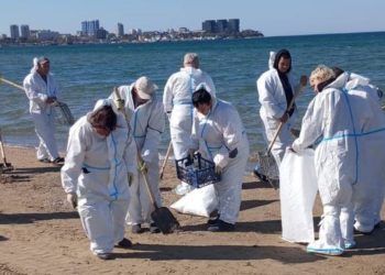 В Анапе обнаружили новые выбросы мазута 21 апреля