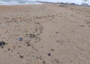 В Анапе обнаружили новые выбросы мазута 22 апреля