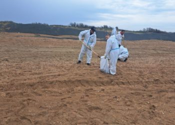 В Анапе обнаружили новые выбросы мазута 25 апреля
