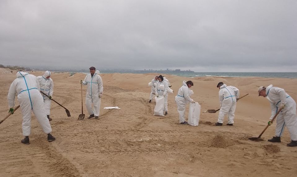 В Анапе обнаружили новые выбросы мазута 26 апреля