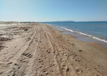 В Анапе не зафиксировали новых выбросов мазута 28 апреля