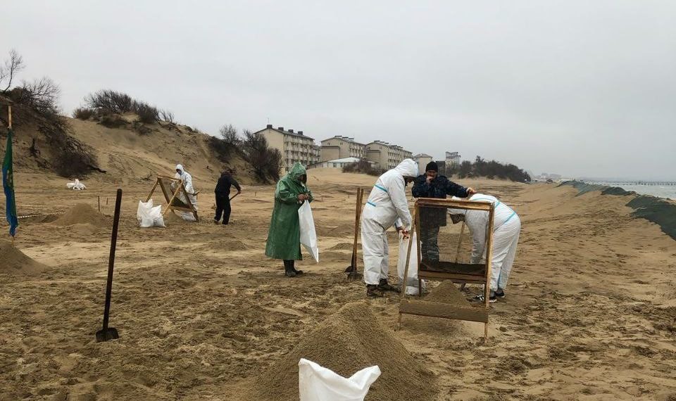 На Кубани собрали 152,6 тысячи тонн загрязненных мазутом песка, грунта и гальки
