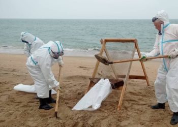 На Кубани собрали 151,4 тысячи тонн загрязненных мазутом песка, грунта и гальки