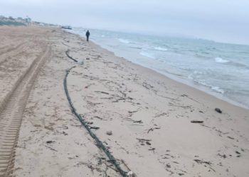 Перед курортным сезоном в Анапы начали убирать защитный вал на побережье