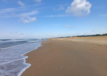 Сотрудники МЧС собрали более 1400 мешков с мазутом у порта Анапы